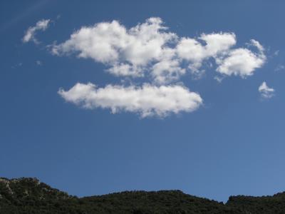 Garrigue-Landschaft II